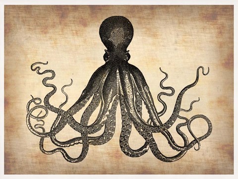 Framed Vintage Octopus Print