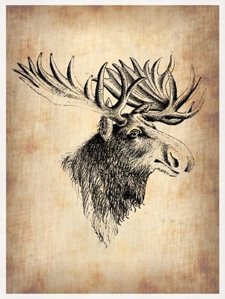 Framed Vintage Moose Print