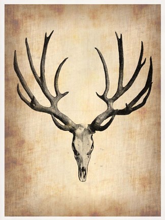 Framed Vintage Deer Scull Print