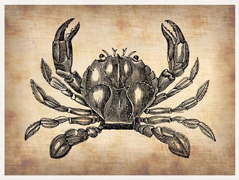 Framed Vintage Crab Print