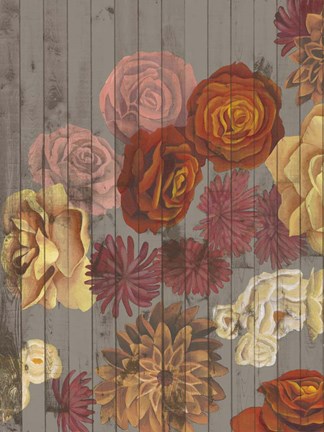 Framed Danza del Sol I Print