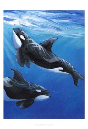 Framed Under Sea Whales II Print