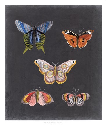 Framed Butterflies on Slate II Print