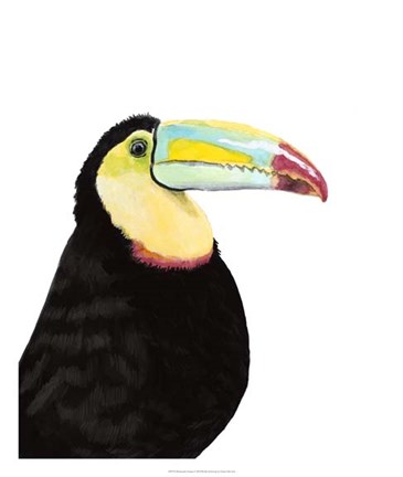 Framed Watercolor Toucan Print