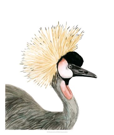 Framed Watercolor Crested Crane Print