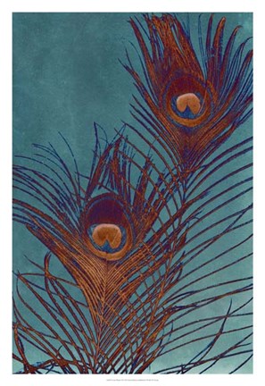 Framed Luxe Plumes II Print