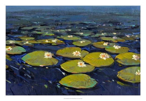 Framed Lily Pads I Print