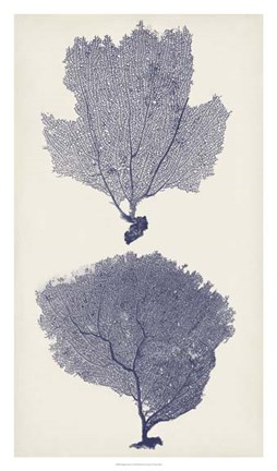 Framed Indigo Seafans I Print