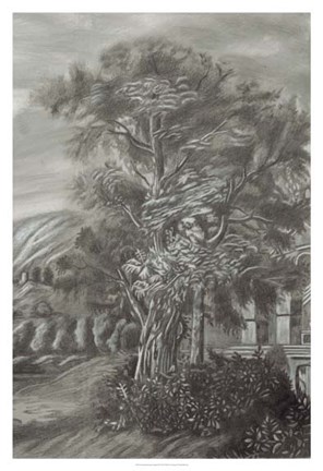 Framed Classical Landscape Triptych III Print