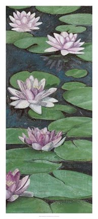 Framed Tranquil Lilies II Print