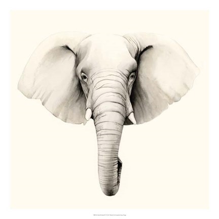 Framed Safari Portrait IV Print