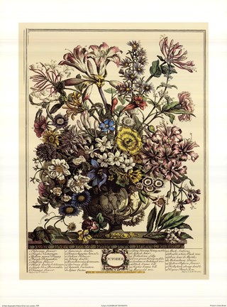 Framed October/Twelve Months of Flowers, 1730 Print