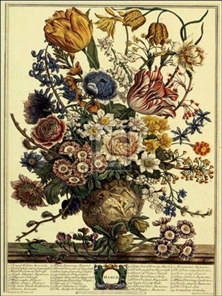 Framed March/Twelve Months of Flowers, 1730 Print