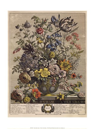 Framed May/Twelve Months of Flowers, 1730 Print