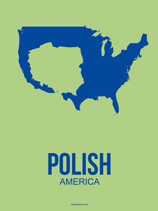 Framed Polish America 3 Print
