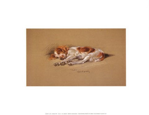 Framed Judy a Spaniel Puppy Print