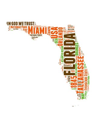 Framed Florida Word Cloud Map Print