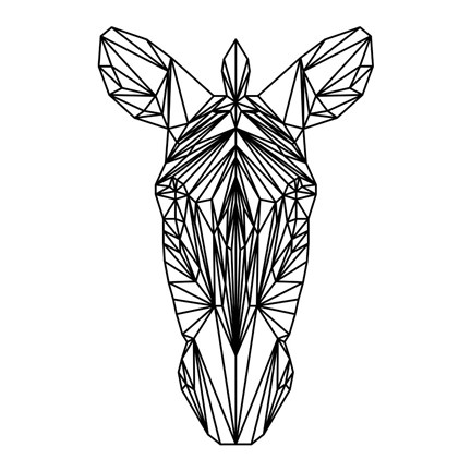 Framed Zebra on White Print