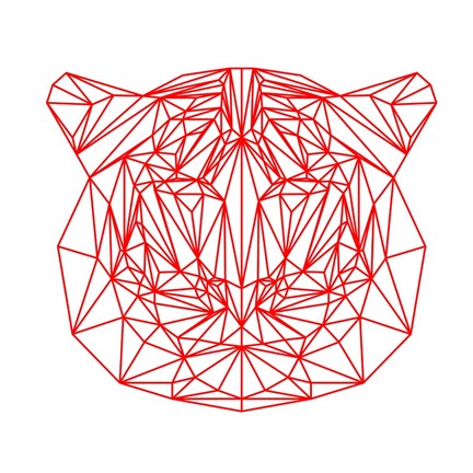 Framed Tiger on White Print