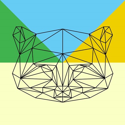 Framed Party Raccoon Print