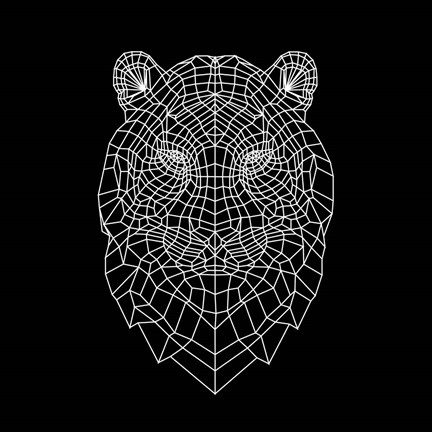 Framed Tiger Head Mesh Print
