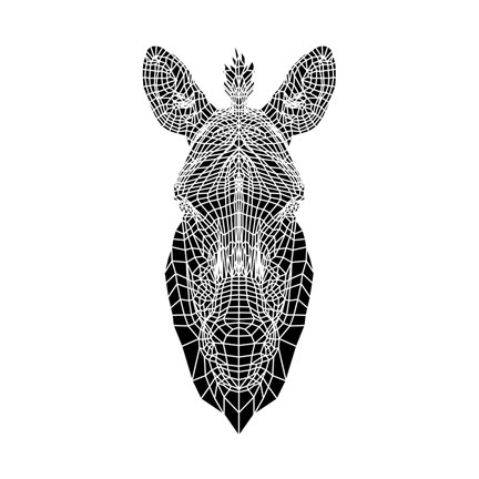 Framed White Zebra Mesh Print