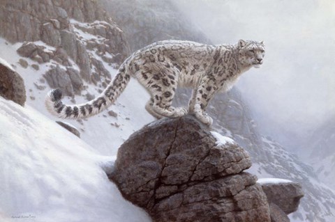 Framed Winter's Veil Print