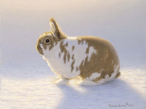 Framed Princess Print