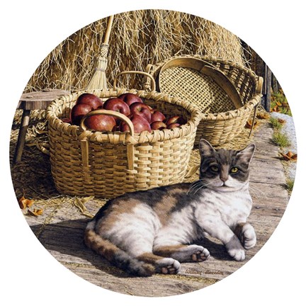 Framed Sunspot Print