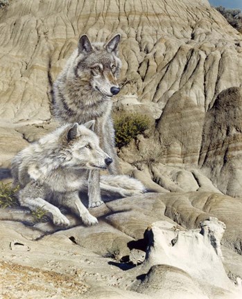 Framed Past Presence Print