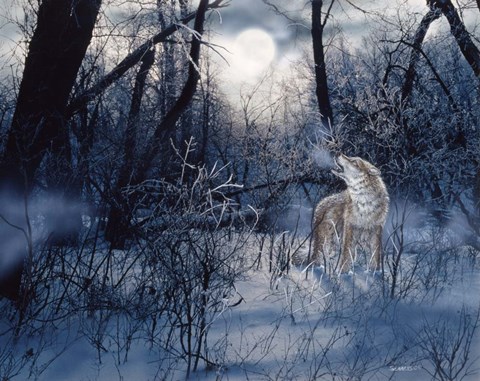 Framed Minnesota Moon Print