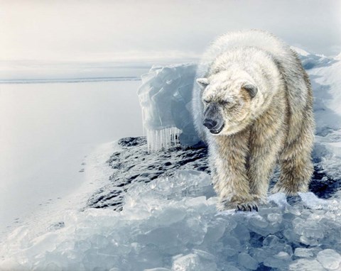 Framed Polar Dawn Print