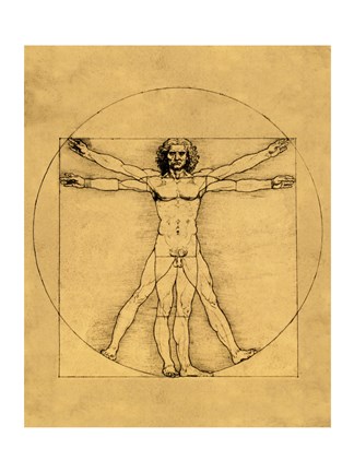 Framed Proportions of the Human Figure - Vitruvian Man Print