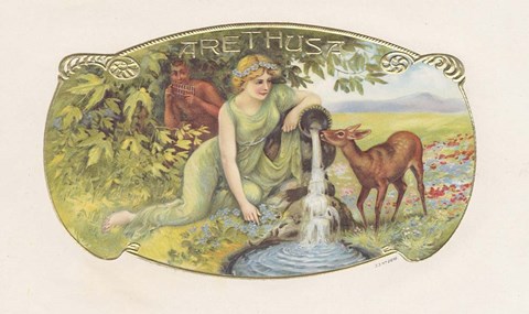 Framed Arethusa Print