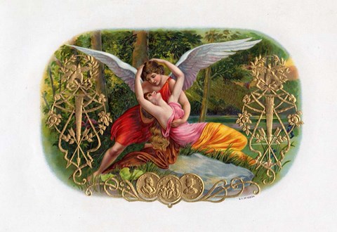 Framed Vintage Cigar Label V Print