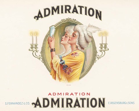 Framed Admiration Print