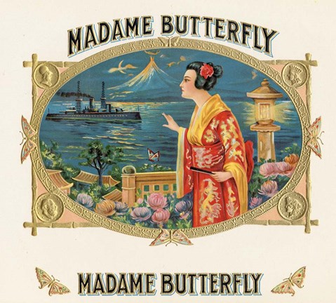 Framed Madame Butterfly Print