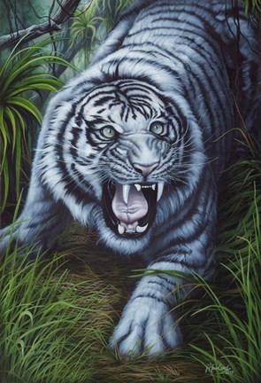 Framed White Tiger Print