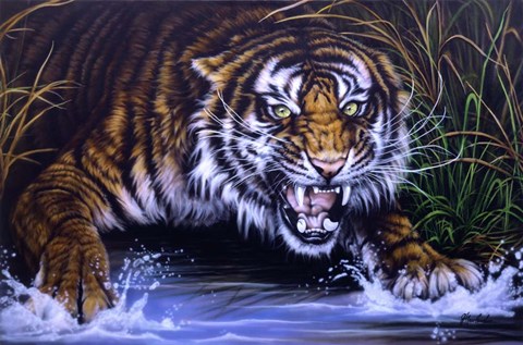 Framed Surprise Print