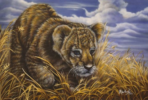 Framed Playful Curiosity Print