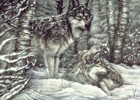 Framed Bedding Down Print