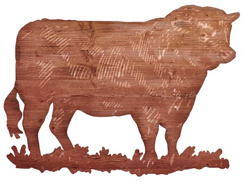 Framed Bull Cut Out Print