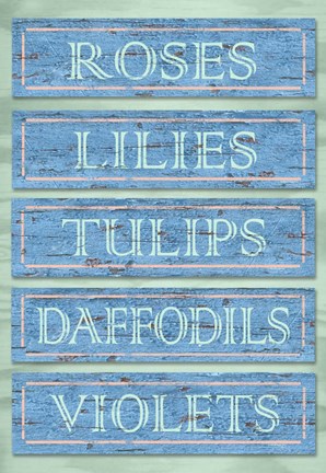 Framed Garden Boards Blue Print