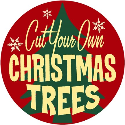 Framed Christmas Trees Print