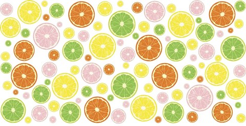 Framed Fruit Slices Print