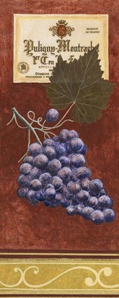 Framed Grapes 1 Print