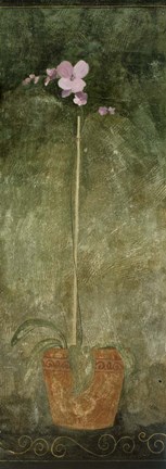 Framed Pink Potted Flower Print