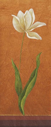 Framed Contemporary White Floral II Print