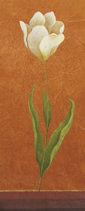 Framed Contemporary White Floral I Print