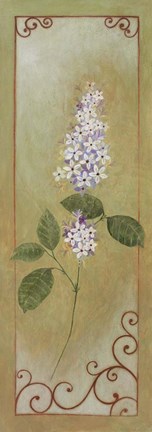 Framed Jasmine I Print